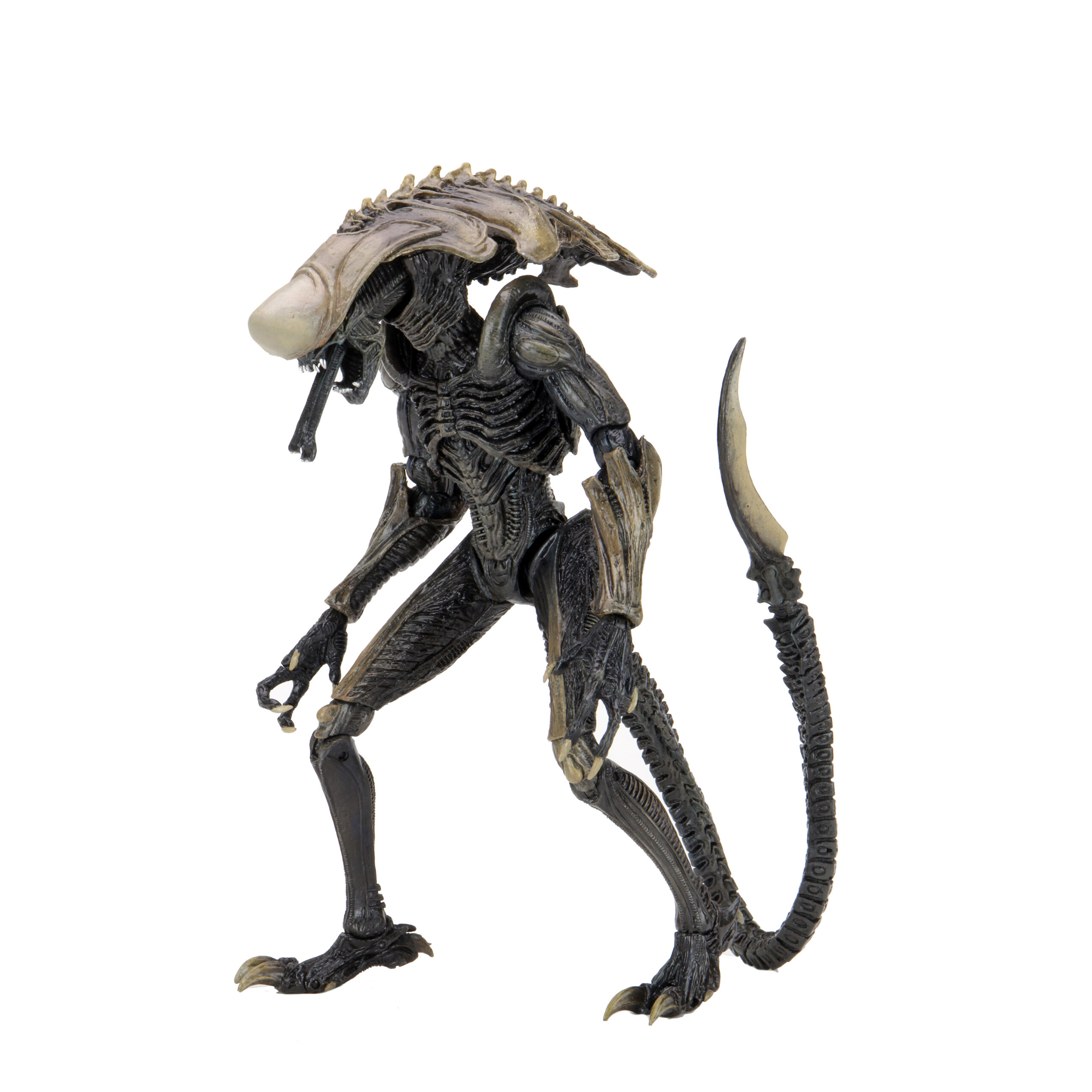neca エイリアン　avp NECA Aliens Warrior Alien vs Predator AVP Black 7