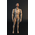 U.S.NAVY SEAL TEAM 2 HALO Jumper