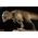 t-rex 200209