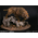 Similodon Fatalis Dry Gobi Desert Version Museum Collection Series MUS003B Statue Damtoys 903256