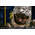 Warcraft movie King Llane Epic Series: Warcraft Premium Statue Damtoys 903368