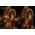 Warcraft movie Magni Bronzebeard Epic Series: Warcraft Premium Statue Damtoys 903382