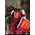 Richard the Lionheart