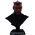 Darth Maul Buste lifesize bust Sideshow Collectibles 400313