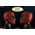 Deadpool Deadpool