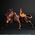 Final Fantasy VII Advent Children No4 Red XIII figurine Square Enix Play Arts