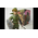 Legend of Zelda Twilight Princess Link 9 inch statue Dark Horse