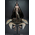 Kier : Shadow of Heaven 1:6 Scale Figure Phicen 907417