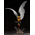 Hawkgirl (Deluxe) Statue Iron Studios 907567