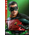 Robin 1:6 Scale Figure Hot Toys 904951