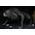 Le Loup-garou de Londres Figurine Échelle 7 pouces – Ultimate Kessler Wolf NECA 04951