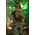 Forrest Gump in Vietnam 1:6 scale figure DJ-Custom DJ-16008