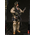 1st SFOD-D Combat Applications Group Team Leader figurine échelle 1:6 DamToys 78077