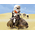 Dewback and Sandtrooper Action Figure Beast Kingdom 908359