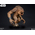 Rancor Statue 16 pouces Sideshow Collectibles 300741
