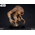 Rancor 16-inch Statue Sideshow Collectibles 300741