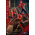 Marvel Friendly Neighborhood Spider-Man (Deluxe Version) 1:6 Scale Figure Hot Toys 9113702 MMS662
