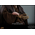 Star Wars: Attack of the Clones Anakin Skywalker 1:6  Scale Figure Hot Toys 912024 MMS677