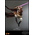 Star Wars: L'Attaque des Clones Mace Windu Figurine Échelle 1:6 Hot Toys 912056 MMS681