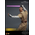 Star Wars: L'Attaque des Clones Mace Windu Figurine Échelle 1:6 Hot Toys 912056 MMS681