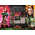 Marvel Mantis Guardians of the Galaxy Holiday Special 1:6 Scale Figure Hot Toys 904933 TMS094