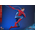 Marvel Spider-Man (New Red and Blue Suit) (Spider-Man: No Way Home) 1:6 Scale Figure Hot Toys 912036 MMS679