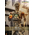 Star Wars IG-12 With Accessories 1:6 Scale Figure Set Hot Toys 9124642  TMS105