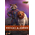 Marvel Rocket et Cosmo Ensemble de figurines échelle 1:6 Hot Toys 912327 MMS708