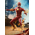 DC The Flash 1:6 Scale Figure Hot Toys 912437 MMS713
