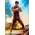 DC The Flash 1:6 Scale Figure Hot Toys 912437 MMS713