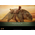 Star Wars: Episode IV A New Hope Dewback (Deluxe Version) 1:6 Scale Figure Hot Toys 9126782 MMS720