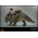 Star Wars: Episode IV A New Hope Dewback (Deluxe Version) 1:6 Scale Figure Hot Toys 9126782 MMS720