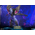 League of Legends Kai’Sa 1:6 Scale Figure Hot Toys 912585 VGM57