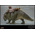 Star Wars: Episode IV Sandtrooper Sergeant and Dewback 1:6 Scale Figure Set Hot Toys 912535 MMS722