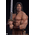 Conan 1:2 Scale Elite Series Statue Arnold Schwarzenegger PCS 913189