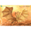 Godzilla: King of the Monsters King Ghidorah Gravity Beam Exquisite Basic Action Figure - Previews Exclusive Hiya Toys DC420271