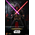 Star Wars Darth Revan 1:6 Scale Figure Hot Toys 913303 VGM62
