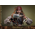 Pirates des Caraïbes: Les morts ne racontent pas d'histoires - Jack Sparrow (VERSION RÉGULIÈRE) figurine échelle 1:6 Hot Toys 913238 DX37