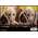 Star Wars General Grievous (Diecast Body Structure) 1:6 Scale Figure Hot Toys 913608 MMS760D67