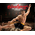 Bloodsport Le Dernier Combat Diorama Échelle 1:10 Infinite Statue 913629