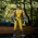 Marvel Select Deadpool & Wolverine - Wolverine Figurine Diamond Select 85432