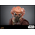 Star Wars Plo Koon Figurine Échelle 1:6 Hot Toys MMS785 914035