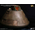 Apollo11 Command Module Deluxe 1:20 Scale – Polyresin Replica Star Ace Toys Ltd SA0144 913888