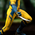 Marvel Deadpool & Wolverine - Wolverine Gallery Diorama Diamond Select DST85382