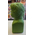 Marvel Hulk 15-inch Plaster Bust