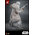 Star Wars Range Trooper (Solo: A Star Wars Story) EXCLUSIVE Figurine Échelle 1:6 Hot Toys MMS768 913804