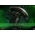 Alien Big Chap 1:6 Scale Figure Hot Toys MMS826 914712