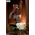 Star Wars Wicket (Return of the Jedi) Premium Format Figure Sideshow Collectibles 300919