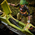 GI Joe Classified Series Zanya and Dreadnok Chameleon (Swamp Skier) Vehicle 6-Inch Action Figure Hasbro #194 G2089