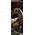 Tyrannosaurus Rex VS Triceratops Diorama Sideshow no.3102